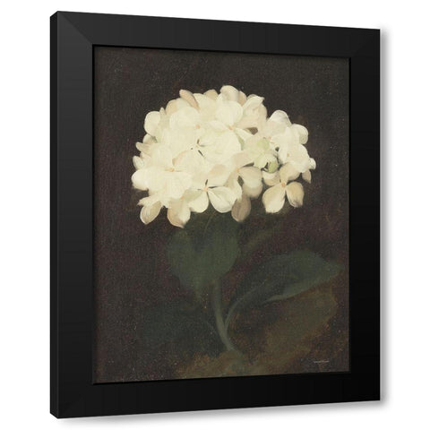 Vintage White Hydrangea Black Modern Wood Framed Art Print with Double Matting by Lettered And Lined