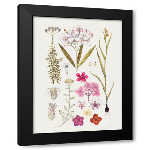 Vintage Bloom Study Black Modern Wood Framed Art Print by Lettered And Lined
