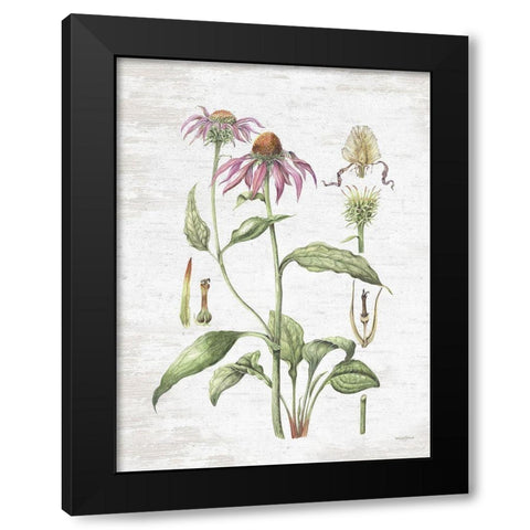 Quiet Meadow Botanical Black Modern Wood Framed Art Print with Double Matting by Lettered and Lined