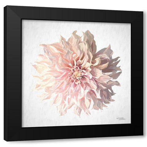 Sweet Dahlia Black Modern Wood Framed Art Print by Norman, Michele