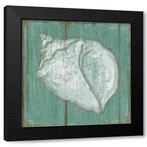 Seashell Black Modern Wood Framed Art Print with Double Matting by Mollie B.