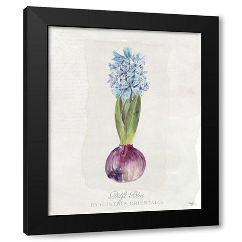 Hyacinthus Orientalis I Black Modern Wood Framed Art Print by Mollie B.
