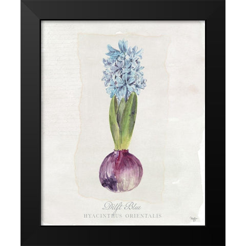 Hyacinthus Orientalis I Black Modern Wood Framed Art Print by Mollie B.