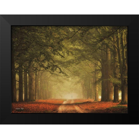 Misty Walk Black Modern Wood Framed Art Print by Podt, Martin