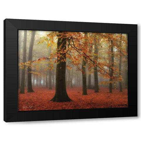 Miss Misty Black Modern Wood Framed Art Print by Podt, Martin