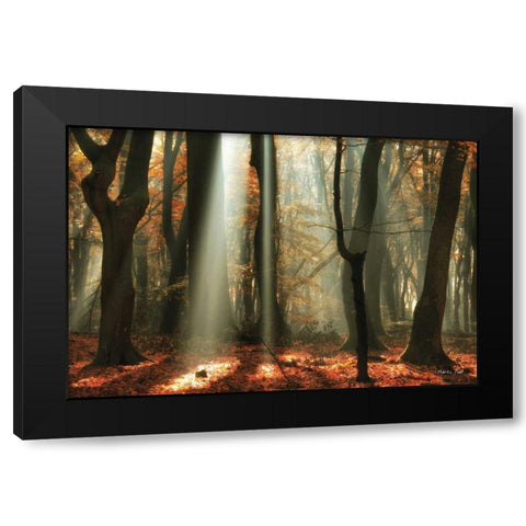 Beam Me Up Black Modern Wood Framed Art Print by Podt, Martin