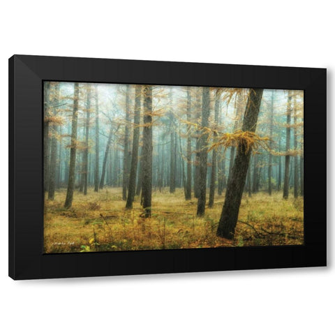 Holterberg in the Mist Black Modern Wood Framed Art Print by Podt, Martin