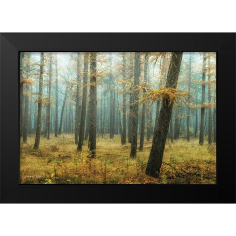 Holterberg in the Mist Black Modern Wood Framed Art Print by Podt, Martin