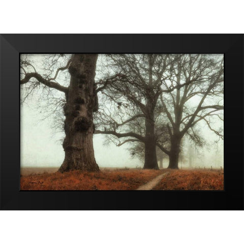 Misty Trees Black Modern Wood Framed Art Print by Podt, Martin