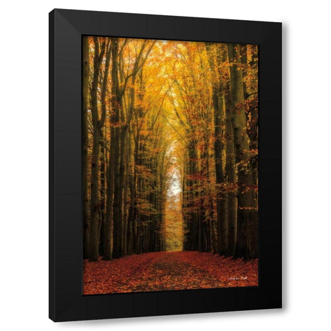 Highway to Heaven Black Modern Wood Framed Art Print with Double Matting by Podt, Martin