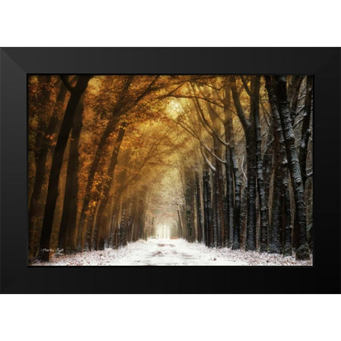 Autumn to Winter Black Modern Wood Framed Art Print by Podt, Martin