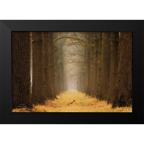 Yellow Path Black Modern Wood Framed Art Print by Podt, Martin