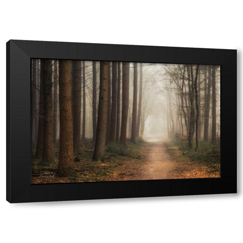 Quiet Black Modern Wood Framed Art Print with Double Matting by Podt, Martin