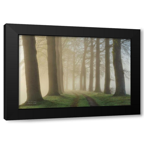 Lights Shine Bright Black Modern Wood Framed Art Print with Double Matting by Podt, Martin