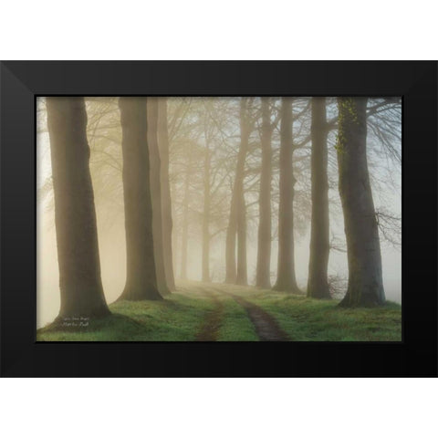 Lights Shine Bright Black Modern Wood Framed Art Print by Podt, Martin