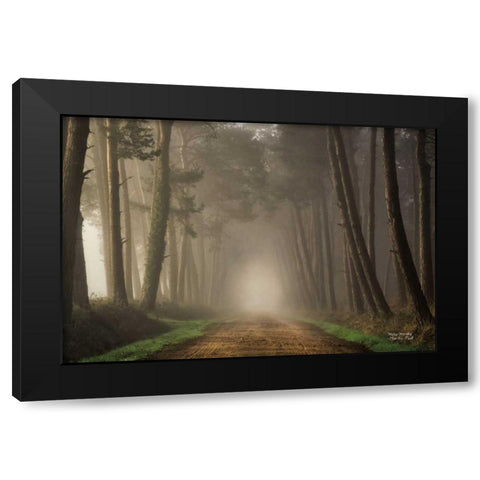 Misty Morning Black Modern Wood Framed Art Print with Double Matting by Podt, Martin