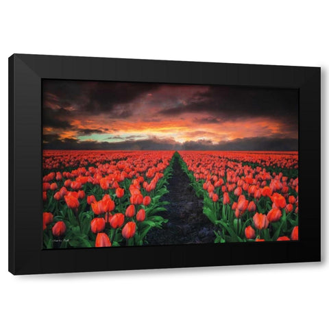 Endless Fields Black Modern Wood Framed Art Print with Double Matting by Podt, Martin