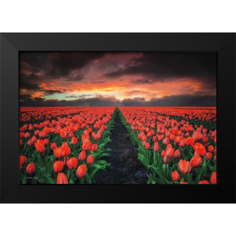 Endless Fields Black Modern Wood Framed Art Print by Podt, Martin