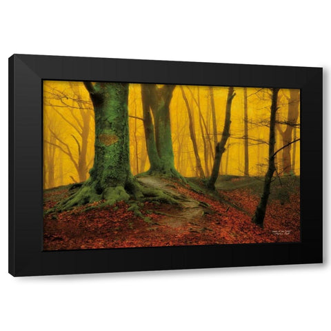 Heart of the Forest Black Modern Wood Framed Art Print with Double Matting by Podt, Martin