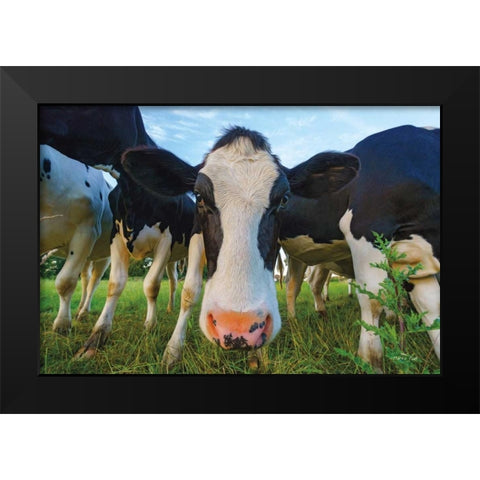 Moo Black Modern Wood Framed Art Print by Podt, Martin