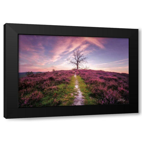 Treemendous Black Modern Wood Framed Art Print with Double Matting by Podt, Martin