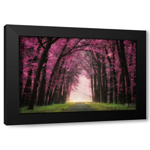 Pretty in Pink Black Modern Wood Framed Art Print by Podt, Martin