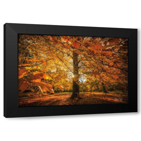 Autumn Leaves Black Modern Wood Framed Art Print by Podt, Martin