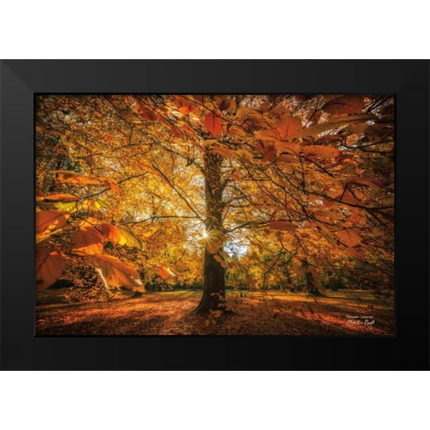 Autumn Leaves Black Modern Wood Framed Art Print by Podt, Martin