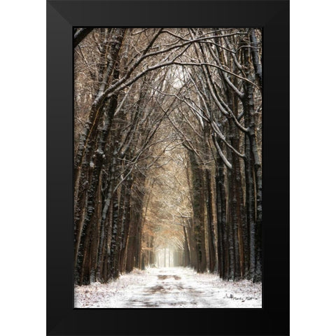 Winter Black Modern Wood Framed Art Print by Podt, Martin