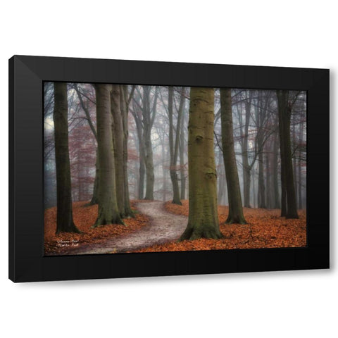 Autumn Path Black Modern Wood Framed Art Print with Double Matting by Podt, Martin