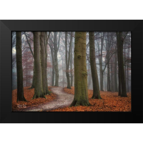 Autumn Path Black Modern Wood Framed Art Print by Podt, Martin