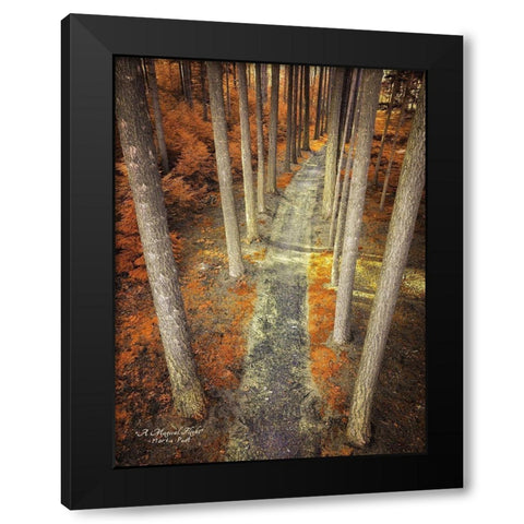 A Magical Flight Black Modern Wood Framed Art Print with Double Matting by Podt, Martin