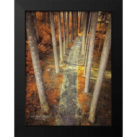 A Magical Flight Black Modern Wood Framed Art Print by Podt, Martin