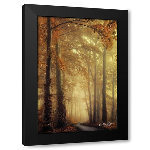 The Path of Liberation Black Modern Wood Framed Art Print by Podt, Martin