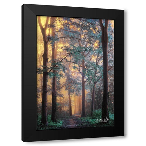 Wonderland Black Modern Wood Framed Art Print by Podt, Martin