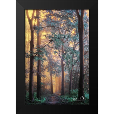 Wonderland Black Modern Wood Framed Art Print by Podt, Martin