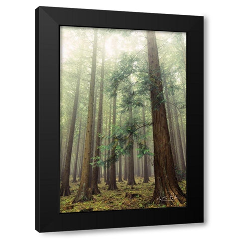 The Friendly Giants Black Modern Wood Framed Art Print with Double Matting by Podt, Martin
