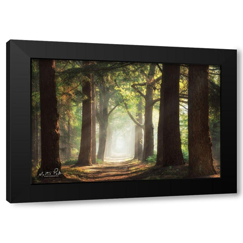 Fresh Green Forest Black Modern Wood Framed Art Print by Podt, Martin