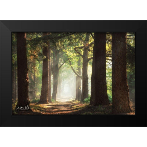 Fresh Green Forest Black Modern Wood Framed Art Print by Podt, Martin