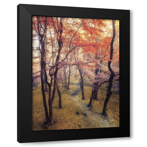 High Up in the Trees Black Modern Wood Framed Art Print with Double Matting by Podt, Martin