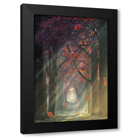 Path of Happiness Black Modern Wood Framed Art Print by Podt, Martin