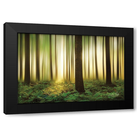 Forest in Motion Black Modern Wood Framed Art Print by Podt, Martin