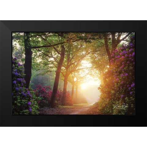 Color Overdose Black Modern Wood Framed Art Print by Podt, Martin