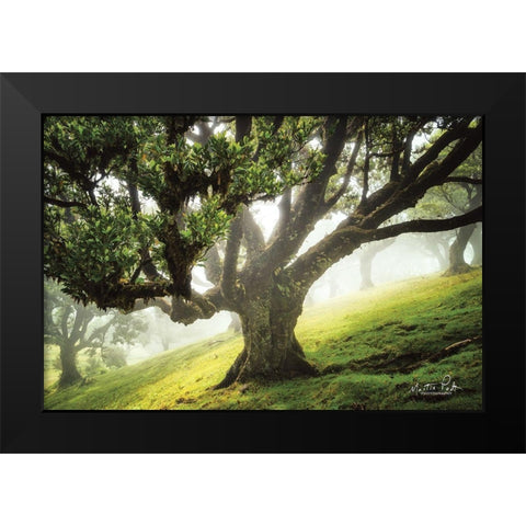 King of the Forest     Black Modern Wood Framed Art Print by Podt, Martin