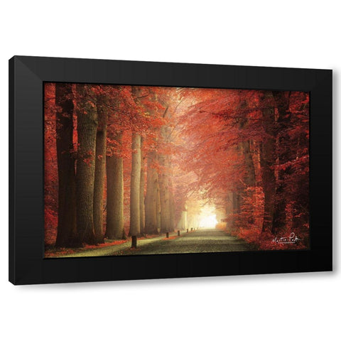 Way to Red           Black Modern Wood Framed Art Print with Double Matting by Podt, Martin