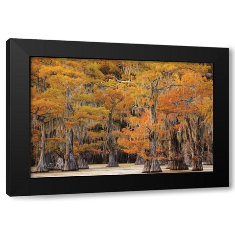 Autumns Painting Black Modern Wood Framed Art Print by Podt, Martin