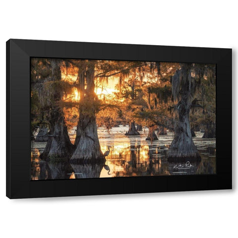 Sunset in the Swamps Black Modern Wood Framed Art Print with Double Matting by Podt, Martin