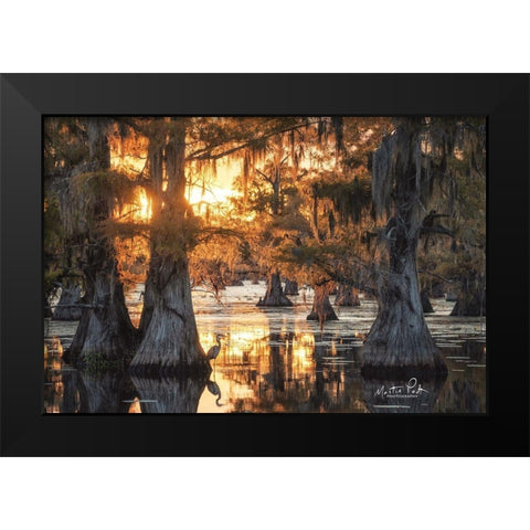 Sunset in the Swamps Black Modern Wood Framed Art Print by Podt, Martin