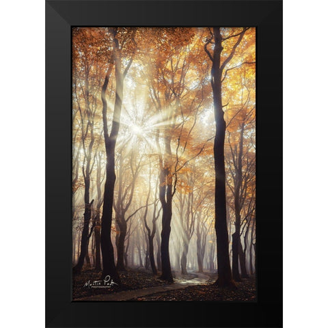 Explosion Black Modern Wood Framed Art Print by Podt, Martin