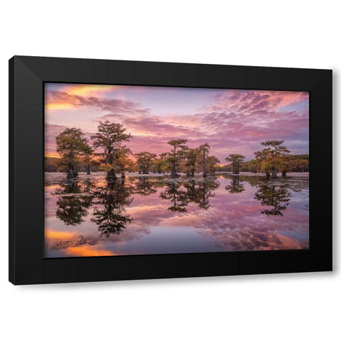 Magnificent Sunset in the Swamps Black Modern Wood Framed Art Print with Double Matting by Podt, Martin